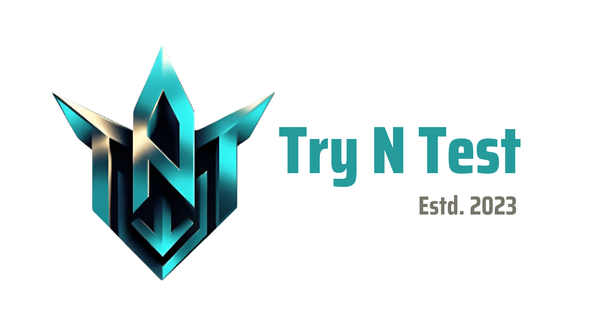 TNT Logo